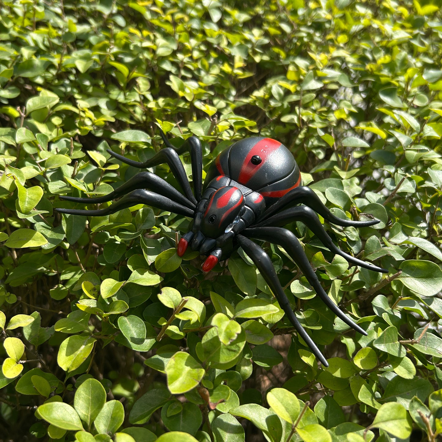 Tinkerland Remote Controlled Insects -Black Widow Spider