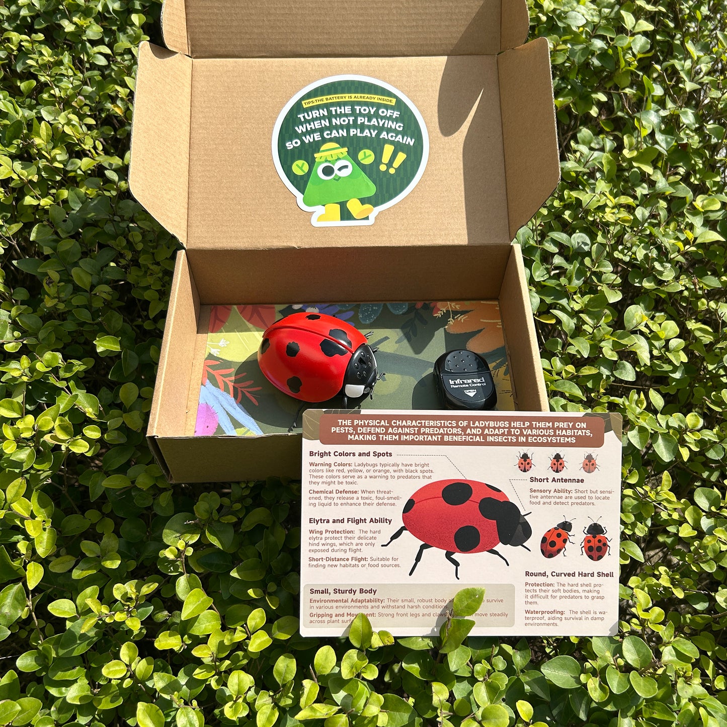 Remote Controlled Insects - LadyBug