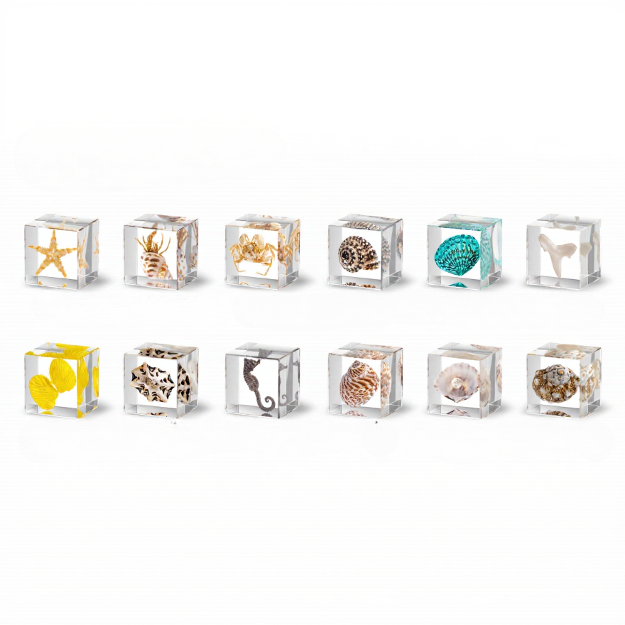 Ocean Specimen Cube