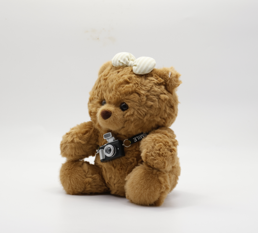 Camera Bear