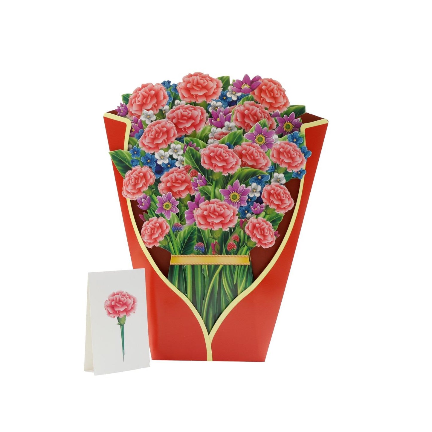 Carnation Velvet