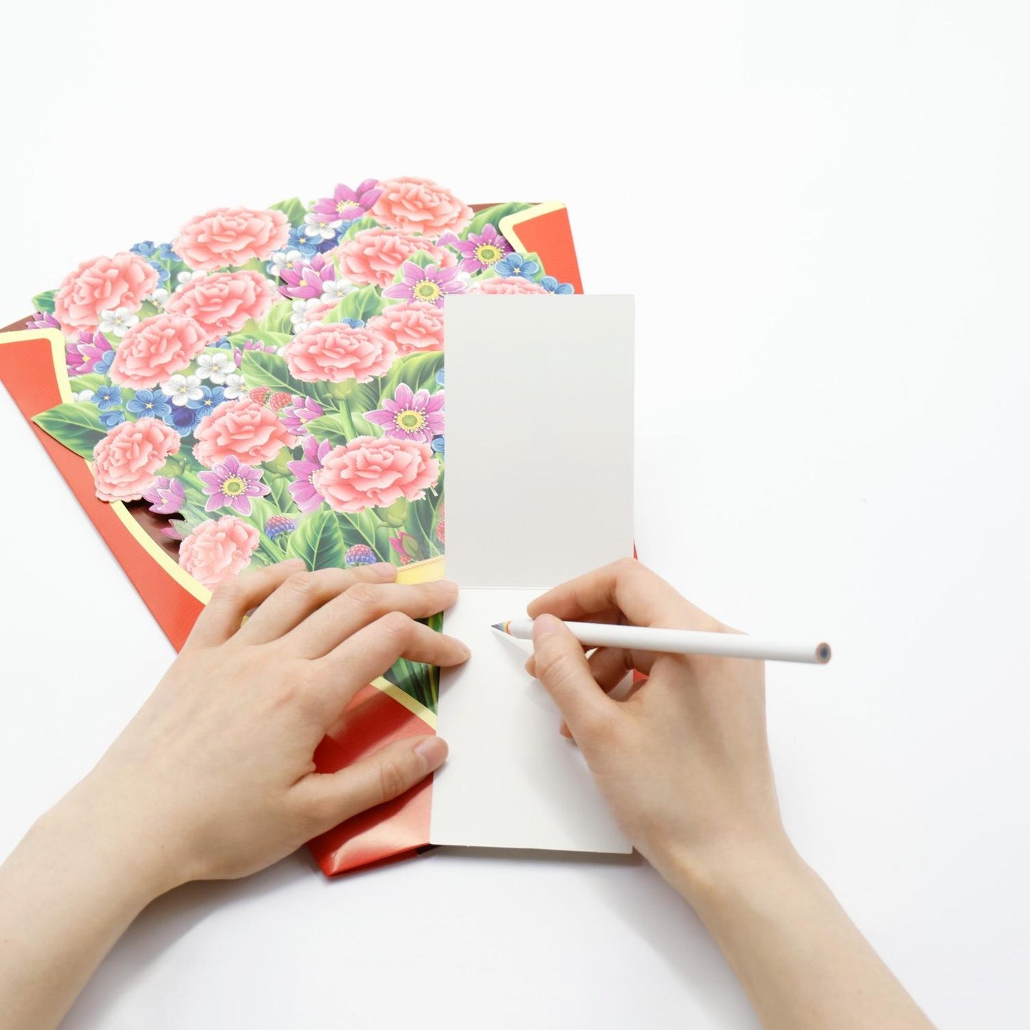 Carnation Velvet