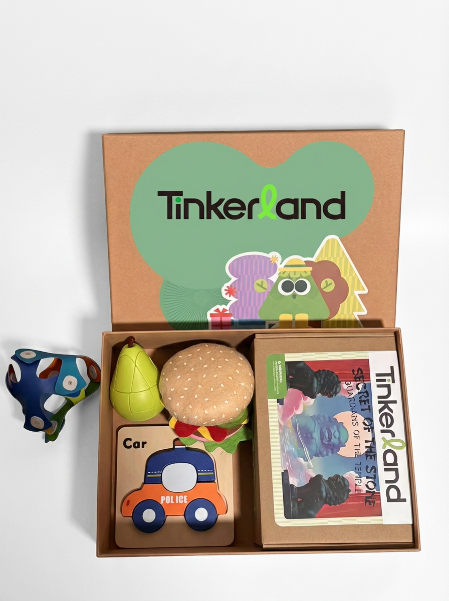 Tinkerland Stem Toy Set Case