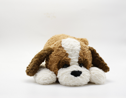 St. Bernard Lying Dog
