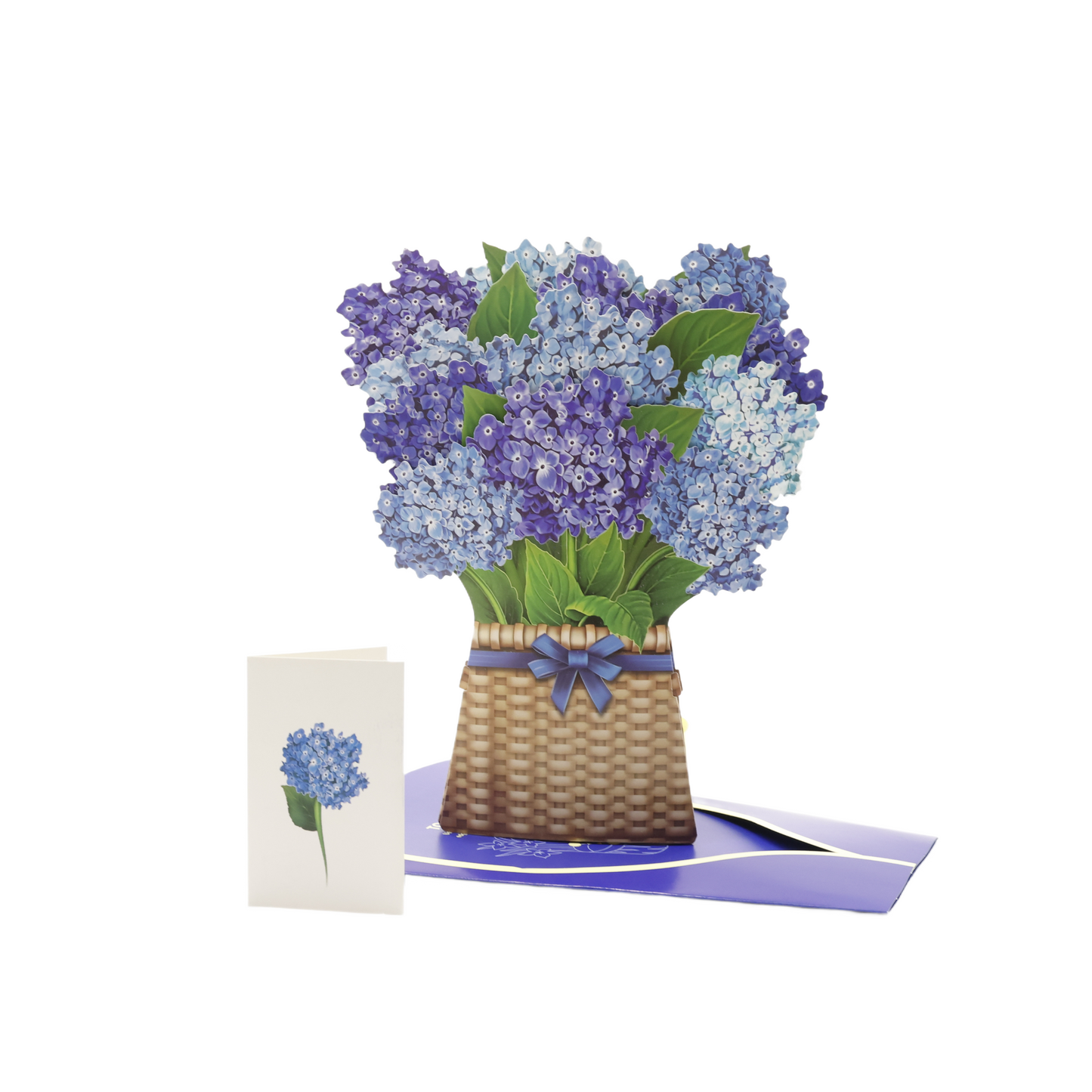 Nantucket Hydrangea