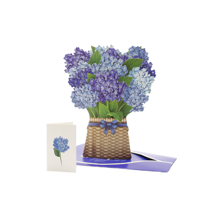 Nantucket Hydrangea