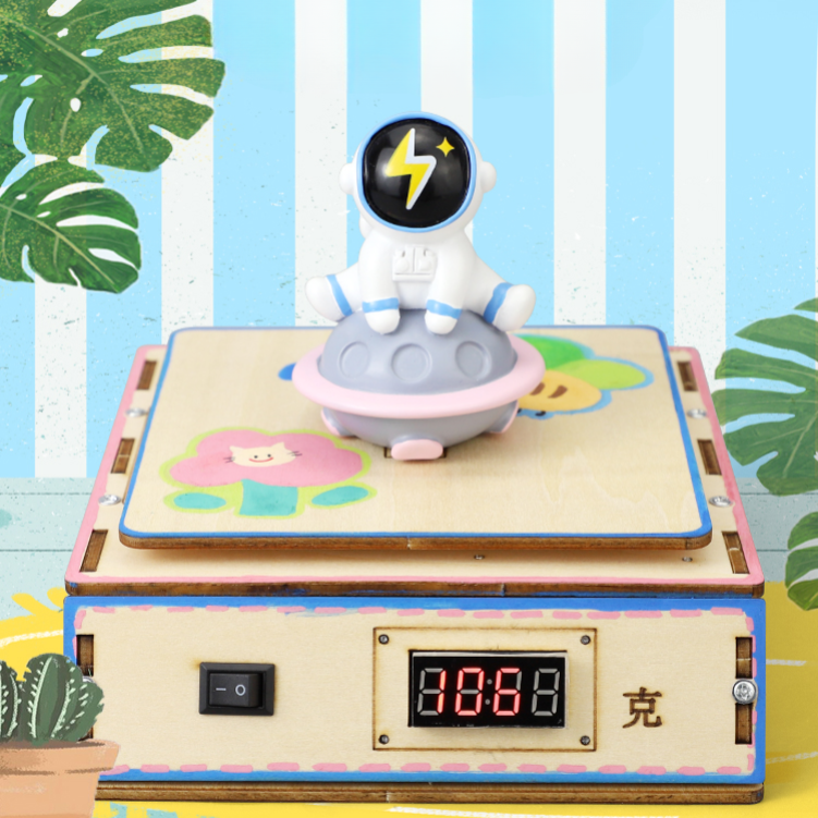 Digital Kitchen Scale