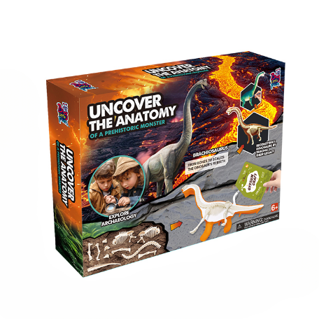Ancient Organism Dissection Science Exploration Kit