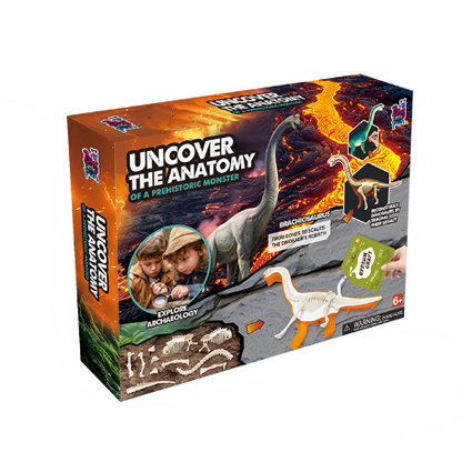 Ancient Organism Dissection Science Exploration Kit