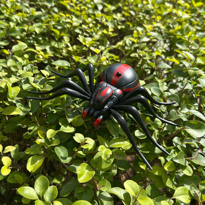 Remote Controlled Insects -Black Widow Spider