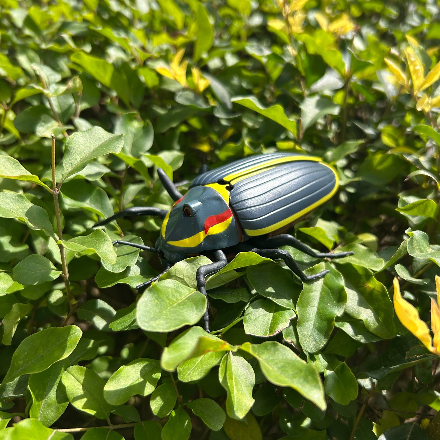 Remote Controlled Insects - Firefly