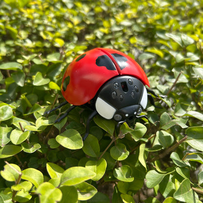 Remote Controlled Insects - LadyBug