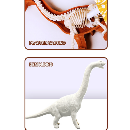 Ancient Organism Dissection Science Exploration Kit