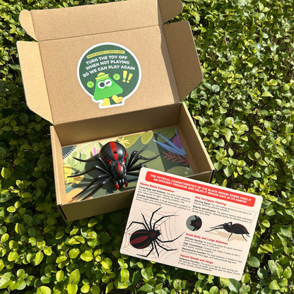 Remote Controlled Insects -Black Widow Spider