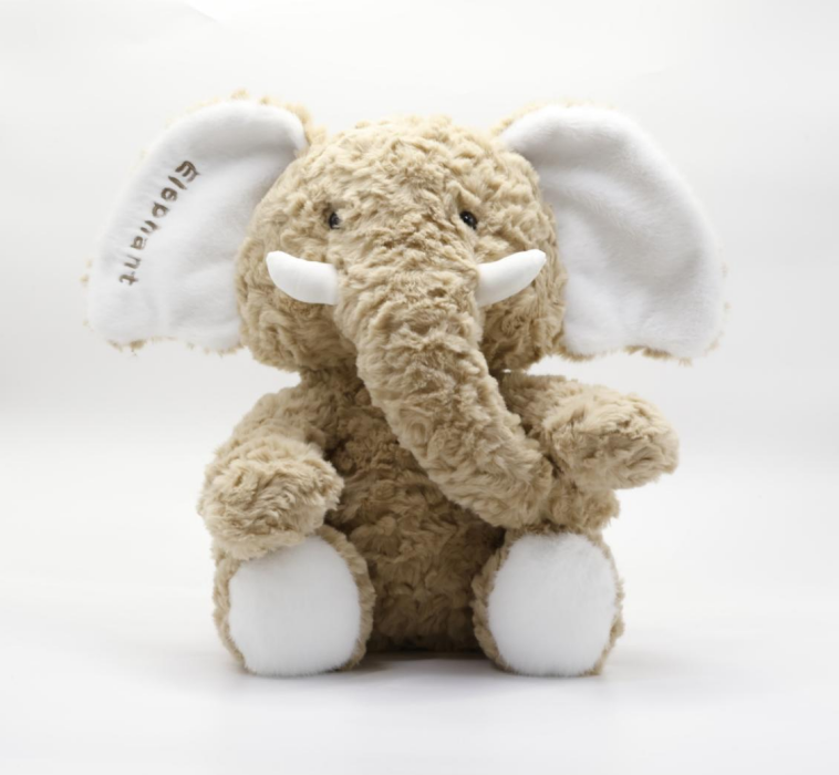Cute  Elephant