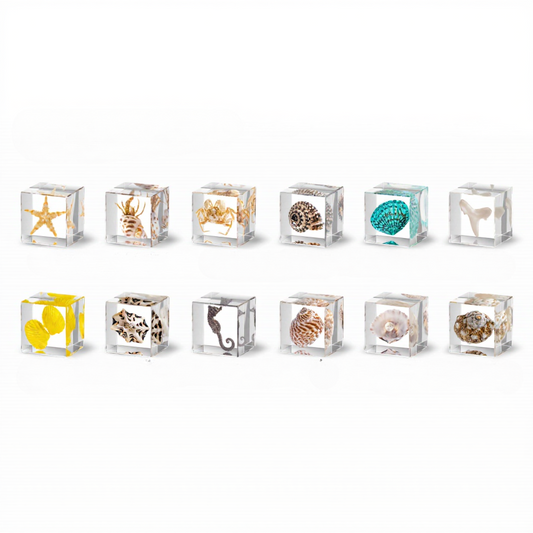 Ocean Specimen Cube