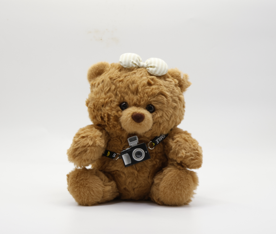 Camera Bear