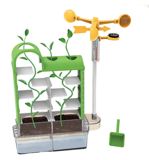 Plant Maze Growth Kit