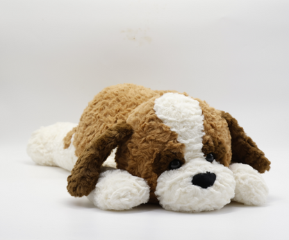 St. Bernard Lying Dog