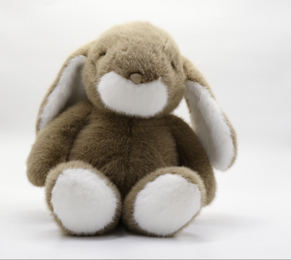 Adorable Bunny
