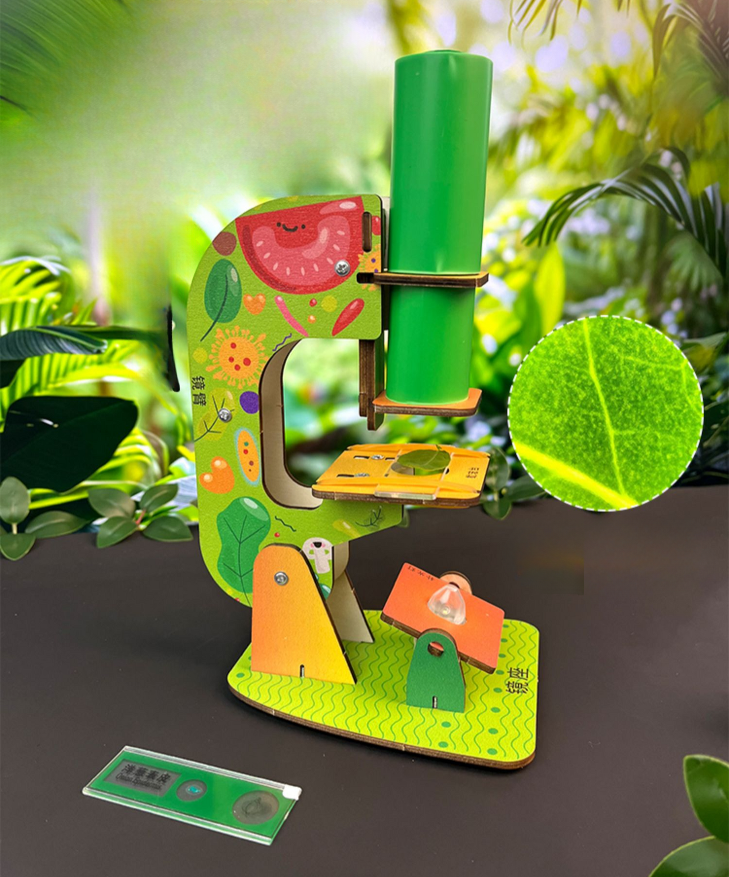 Beginner's Microscope