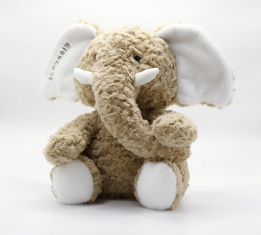 Cute  Elephant