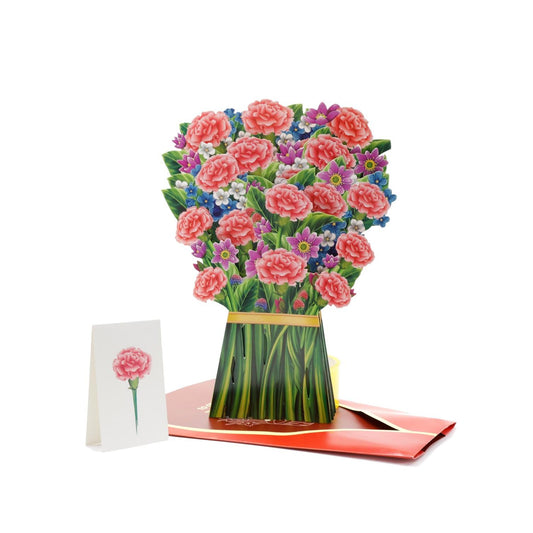 Carnation Velvet