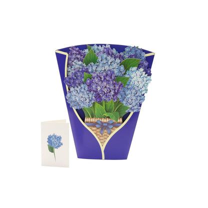 Nantucket Hydrangea