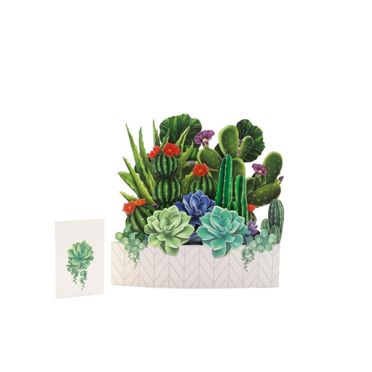 Tropicana