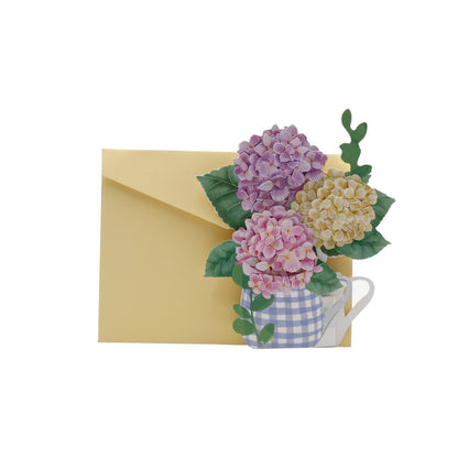 Hydrangea