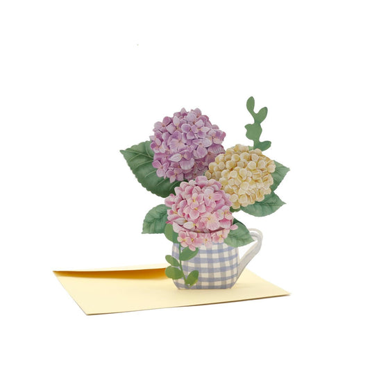 Hydrangea