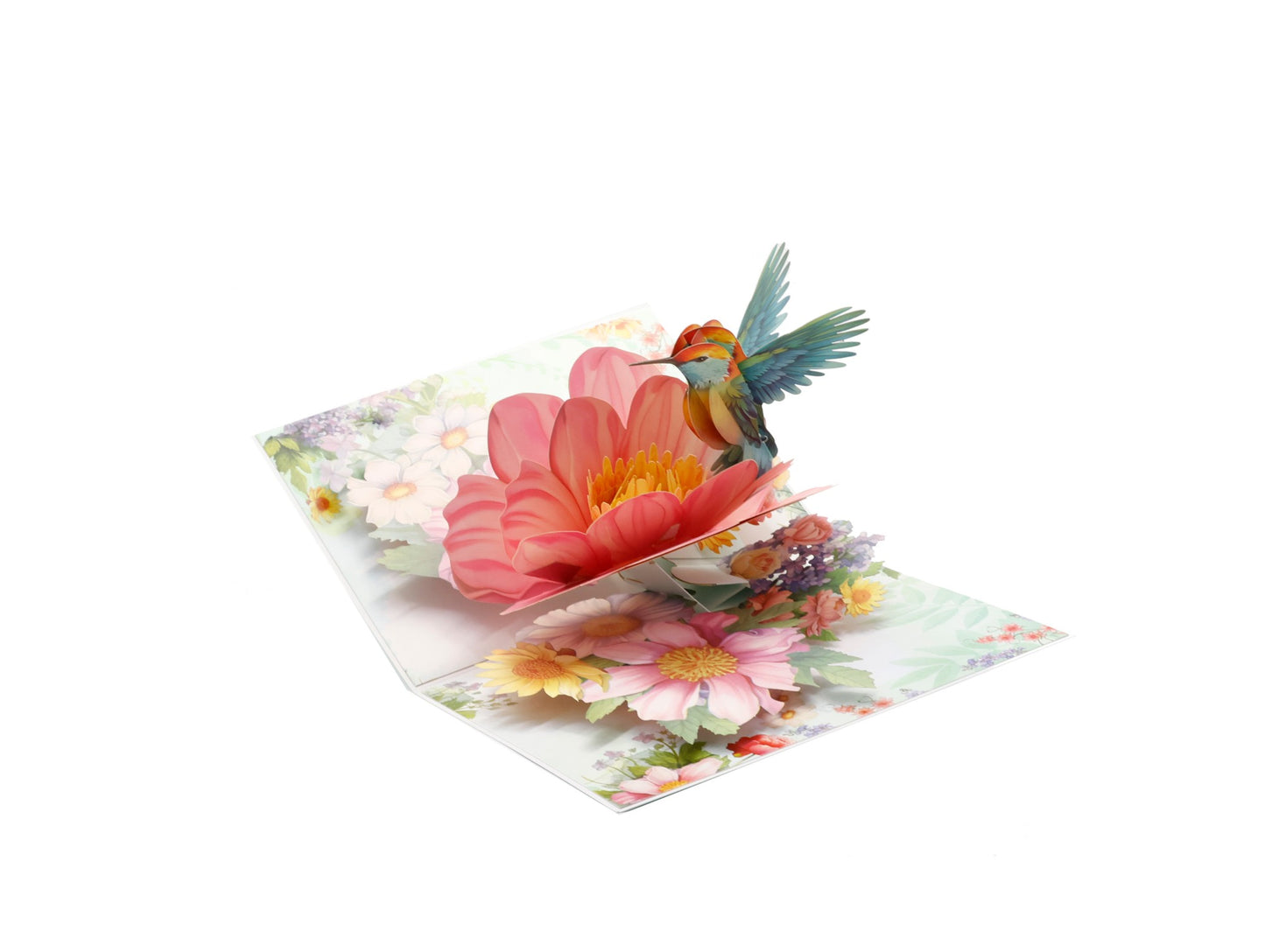 Hummingbird Bloom