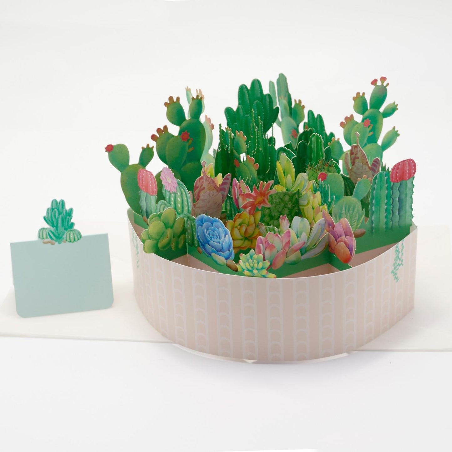 Succulent Garden