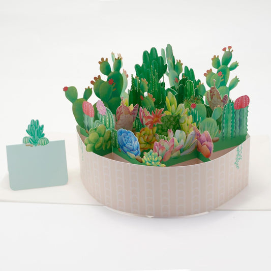 Succulent Garden