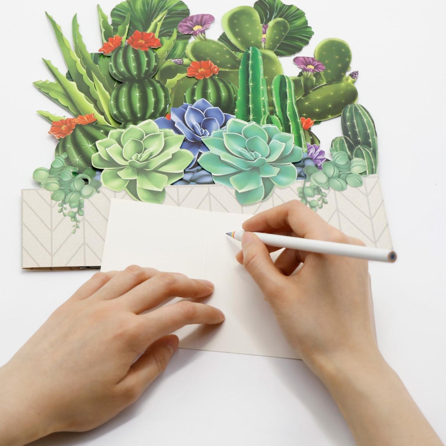 Succulent Garden