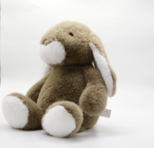 Adorable Bunny